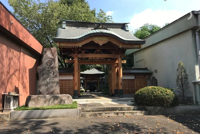 円福寺 双樹堂